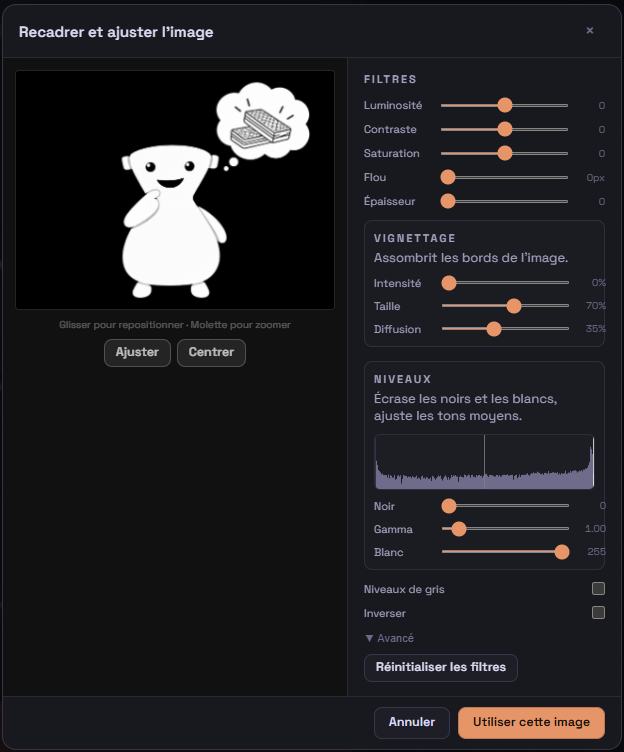Outils de recadrage et d'ajustement d'une image